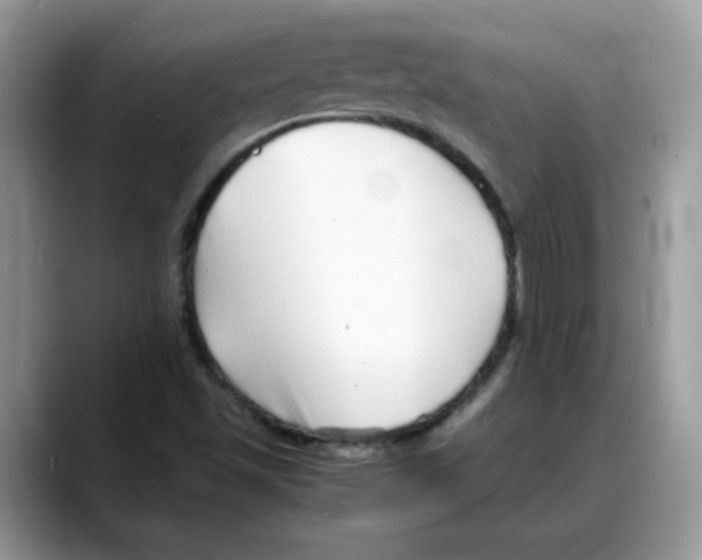 X0000088131501200706111358