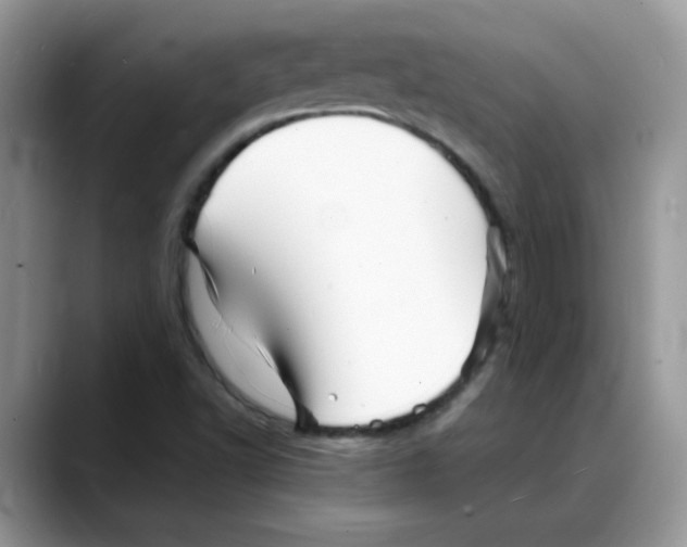 X0000088131502200706111358