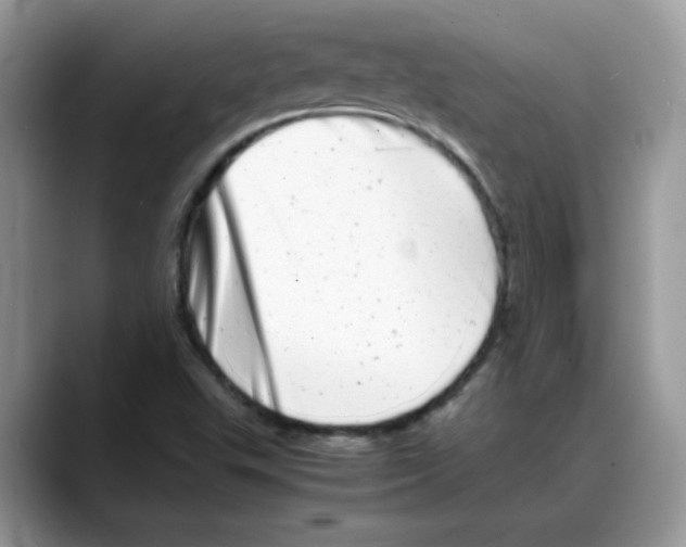 X0000088131503200706111358