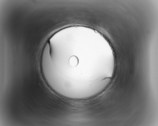 X0000088131504200706111358