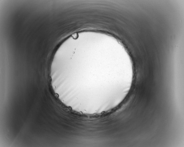 X0000088131505200706111358