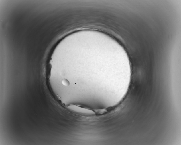 X0000088131506200706111358