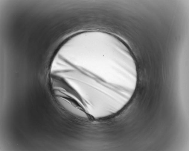 X0000088131507200706111358