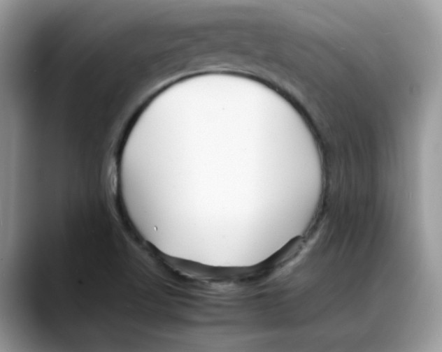 X0000088131509200706111358