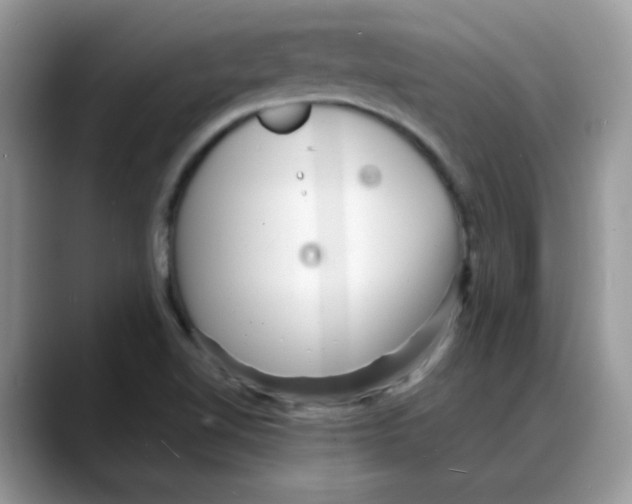 X0000088131510200706111358