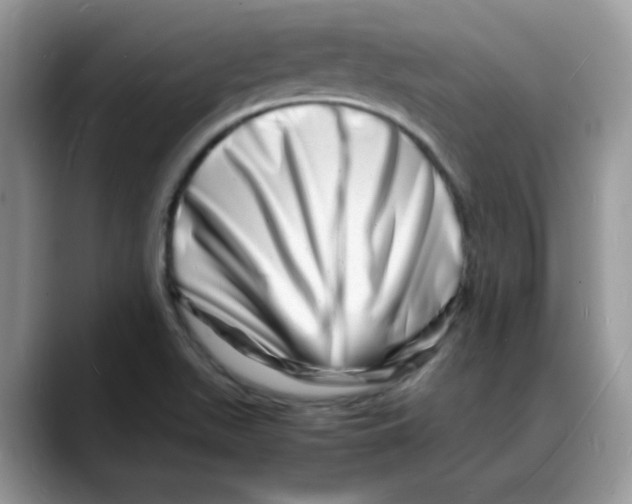 X0000088131511200706111358