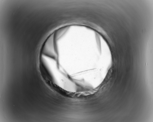 X0000088131512200706111358