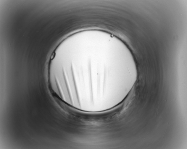 X0000088131516200706111358