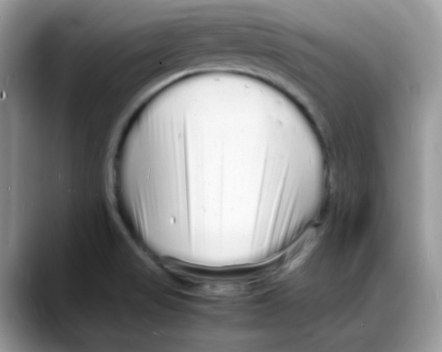 X0000088131517200706111358