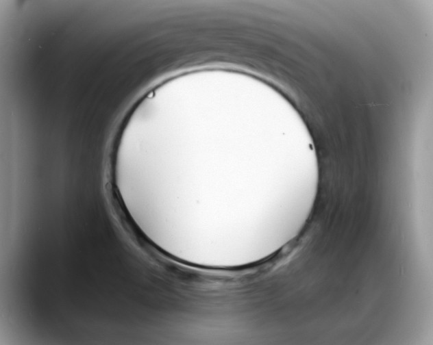 X0000088131518200706111358