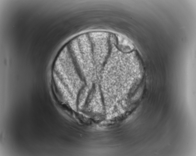 X0000088131519200706111358