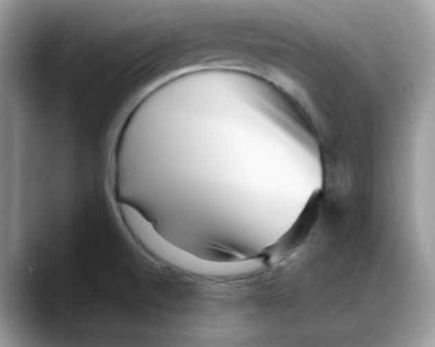 X0000088131520200706111358