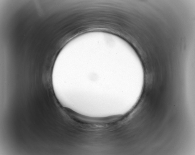 X0000088131521200706111358