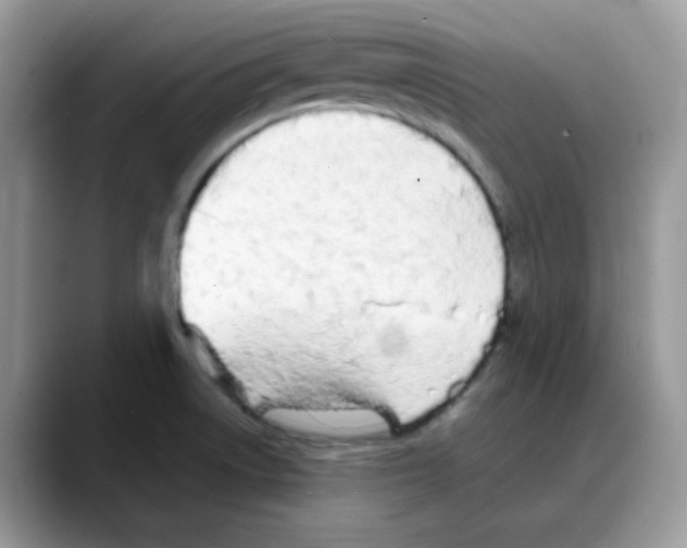 X0000088131522200706111358