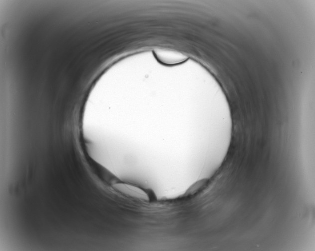 X0000088131523200706111358