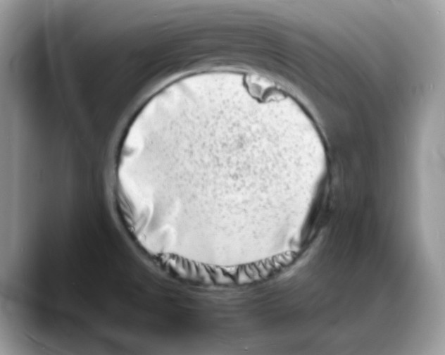 X0000088131525200706111358