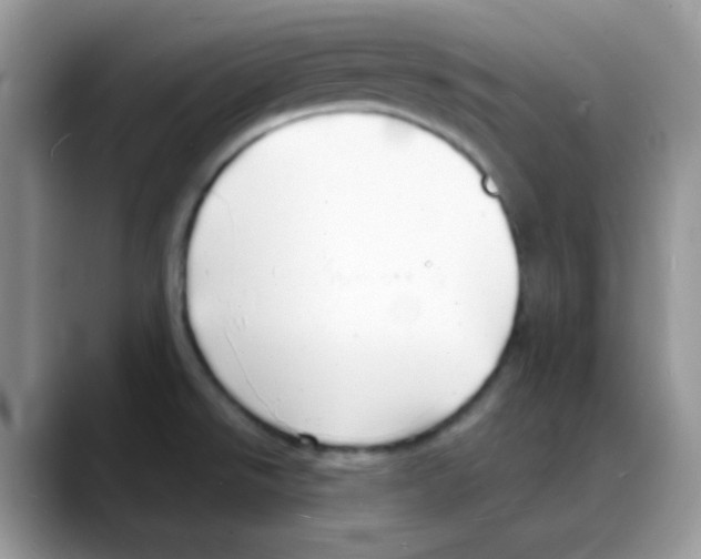 X0000088131526200706111358