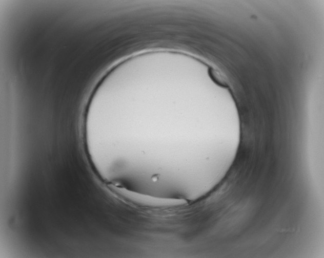 X0000088131527200706111358