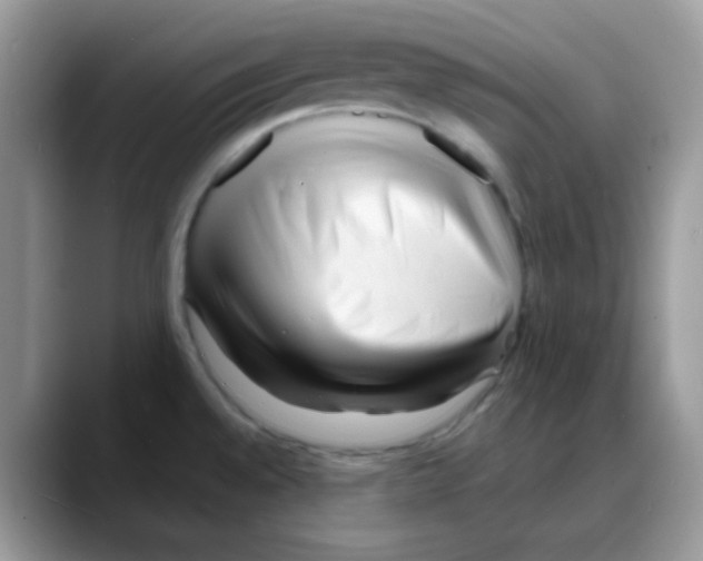 X0000088131528200706111358