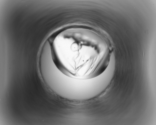 X0000088131530200706111358