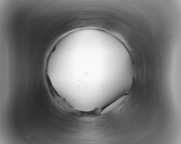 X0000088131532200706111358