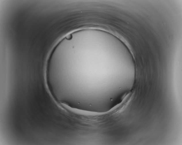 X0000088131533200706111358