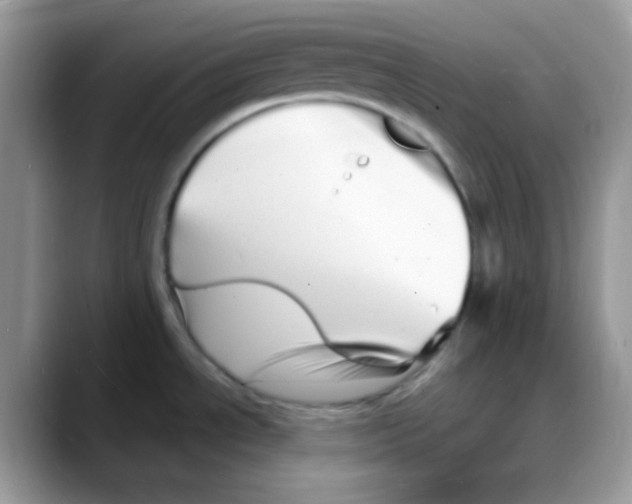 X0000088131534200706111358