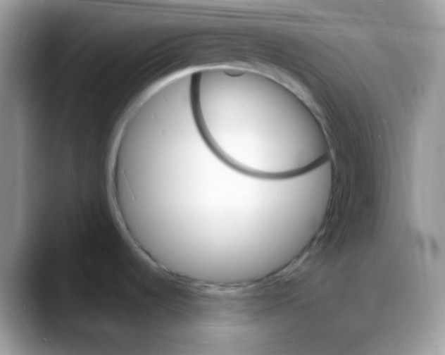 X0000088131536200706111358