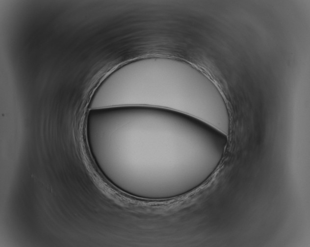 X0000088140001200705141041