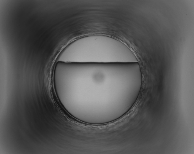 X0000088140002200705141041