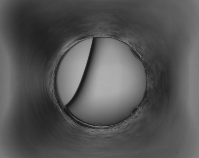 X0000088140005200705141041
