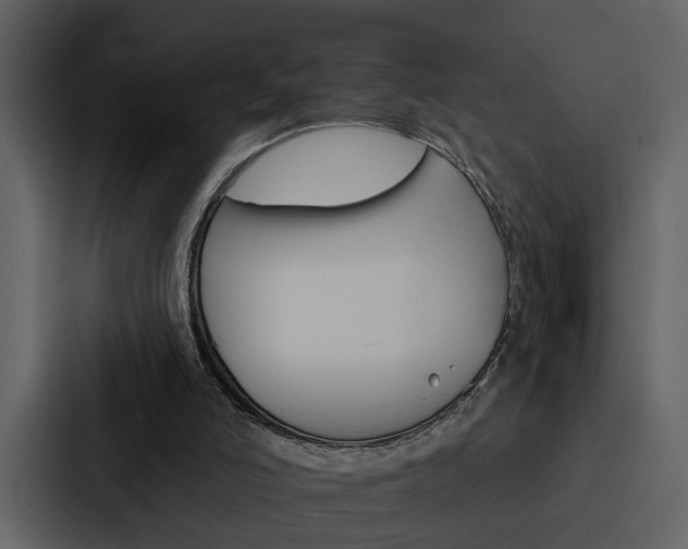 X0000088140006200705141041