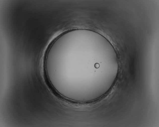 X0000088140008200705141041