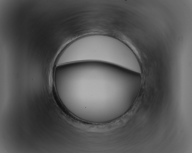 X0000088140011200705141041