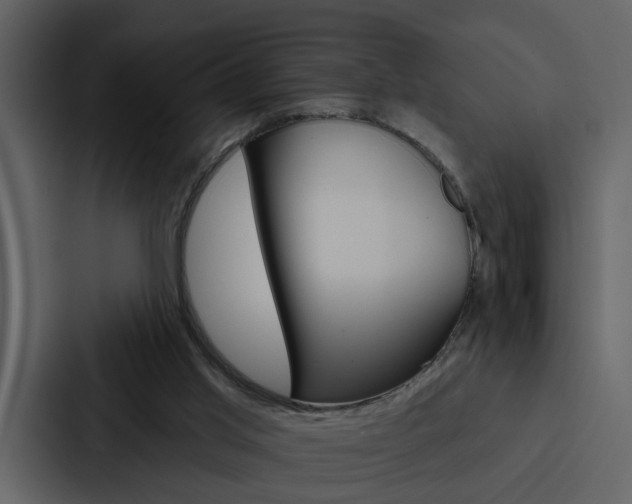X0000088140013200705141041