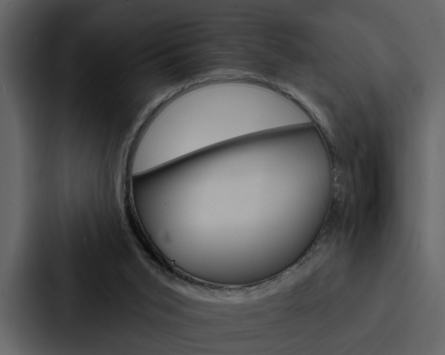 X0000088140015200705141041