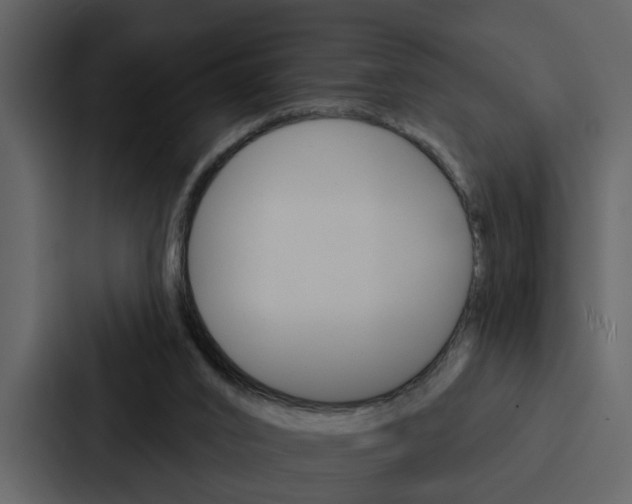 X0000088140016200705141041