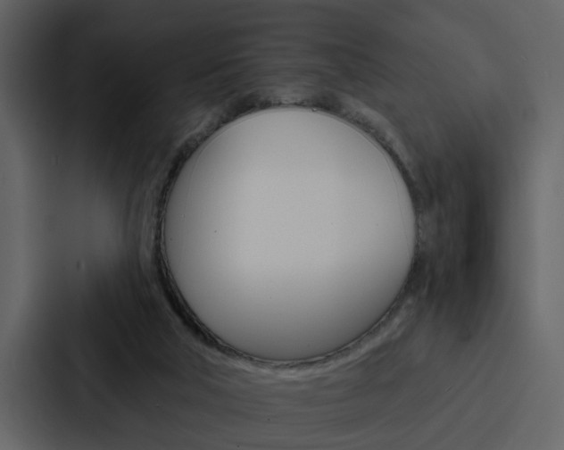 X0000088140018200705141040