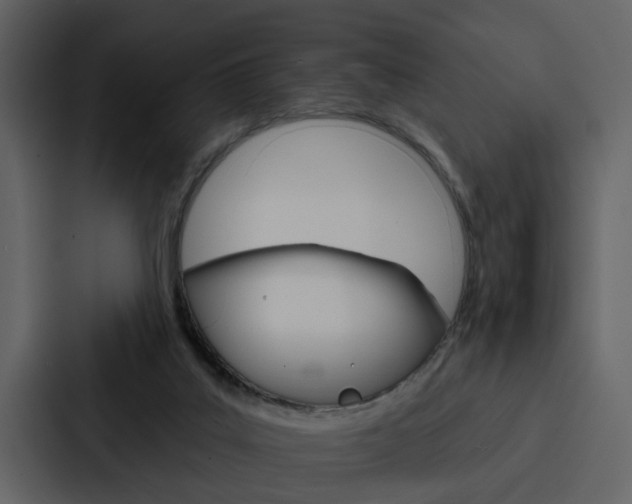 X0000088140019200705141040