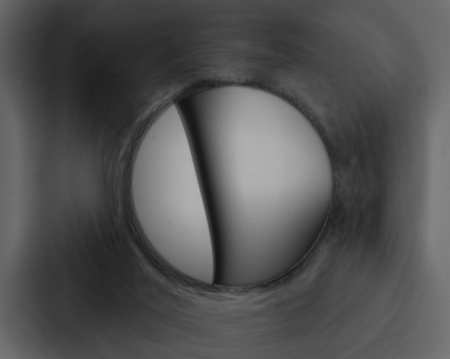 X0000088140020200705141040