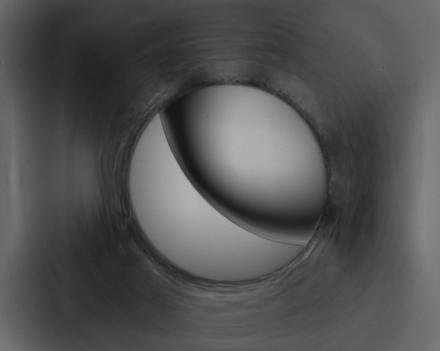 X0000088140021200705141040