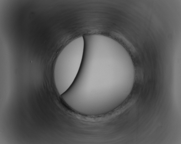 X0000088140022200705141040