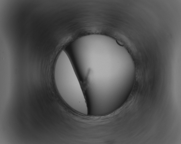 X0000088140023200705141040