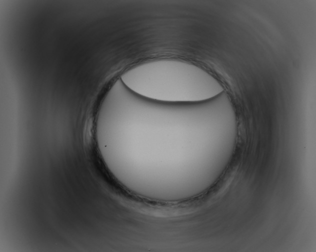 X0000088140024200705141040