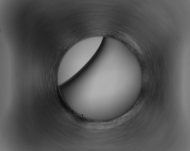 X0000088140025200705141040