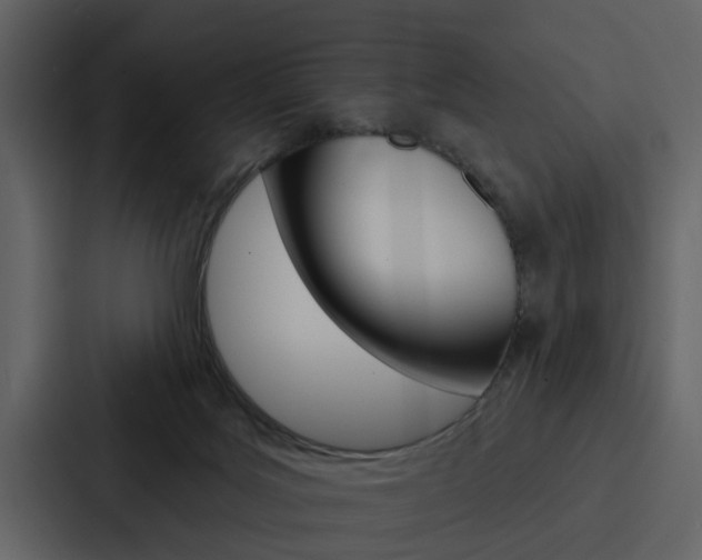 X0000088140027200705141040