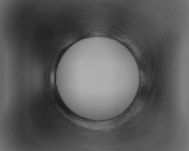 X0000088140028200705141040