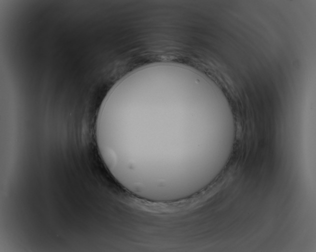 X0000088140030200705141040