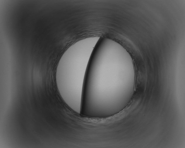 X0000088140037200705141040