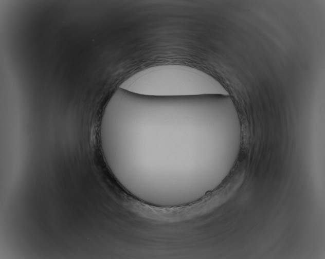 X0000088140038200705141040